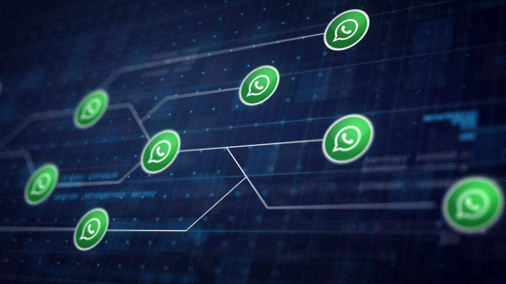 WhatsApp for B2B